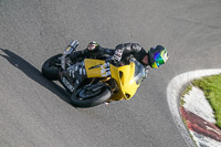 Middle 1 Group Yellow Bikes